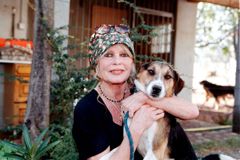 Brigitte Bardot at her dog refuge "The Nice Dogs" in Paris, France on October 7, 2001 | Source: Getty Images