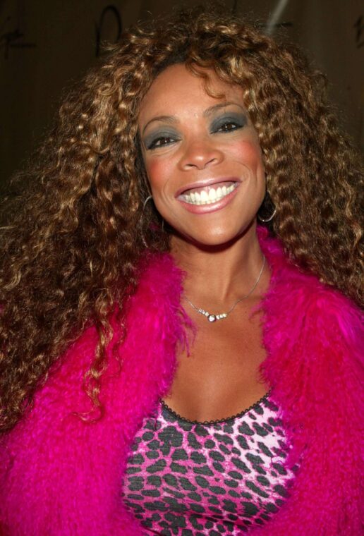 Wendy Williams during Virgin Records Presents Damita Jo: A Celebration with Janet Jackson in Honor of Her New Album at Spice Market on March 29, 2004 in New York City. | Source: Getty Images