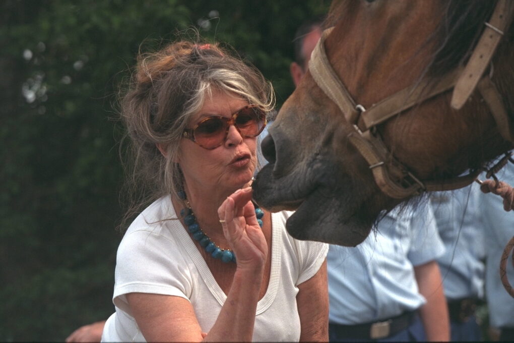 Brigitte Bardot at Gevaudan Wolf Park in 1996 | Source: Getty Images